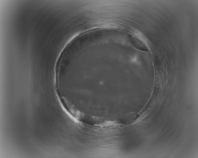 X0000071761095200607071229