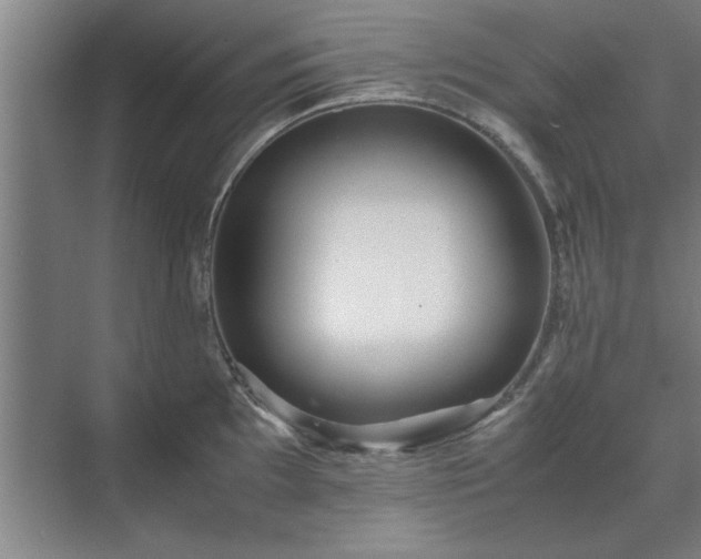 X0000071761097200607071229