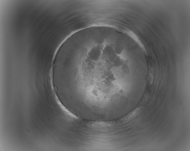 X0000071761100200607071229