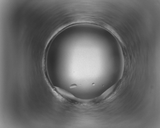 X0000071761101200607071229