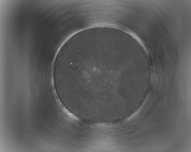 X0000071761102200607071229