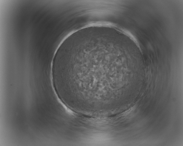 X0000071761103200607071229