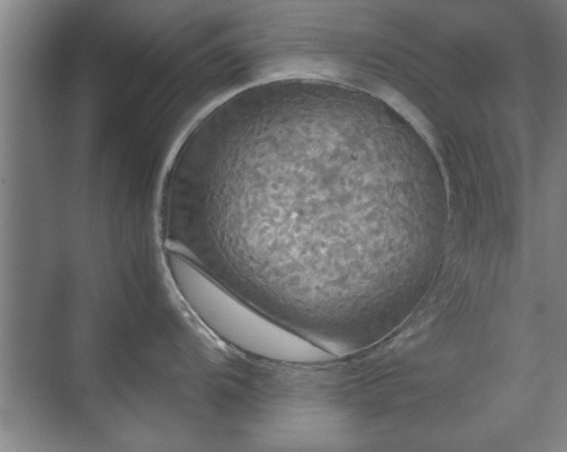 X0000071761104200607071229