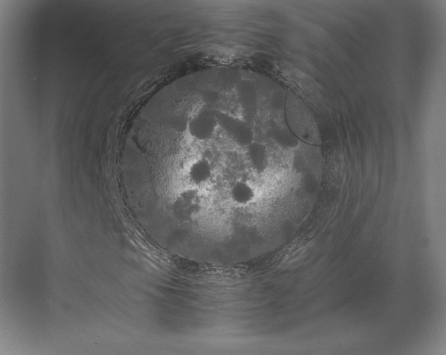 X0000071761105200607071228