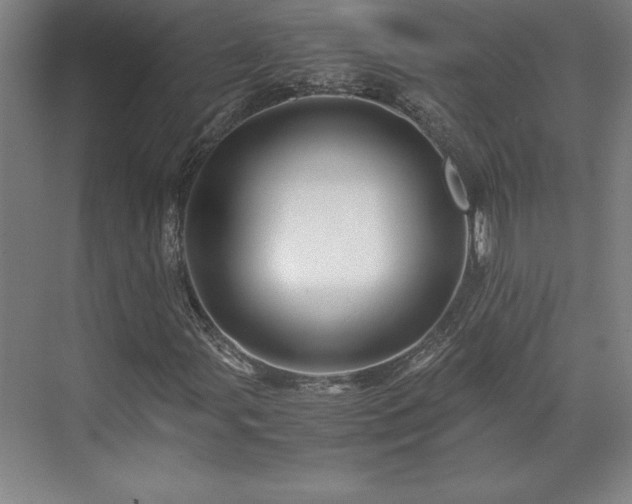 X0000071761107200607071228