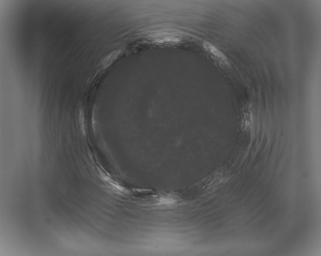 X0000071761108200607071228