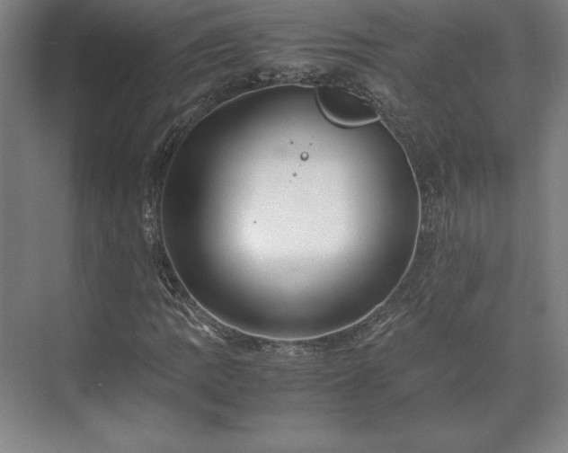 X0000071761109200607071228