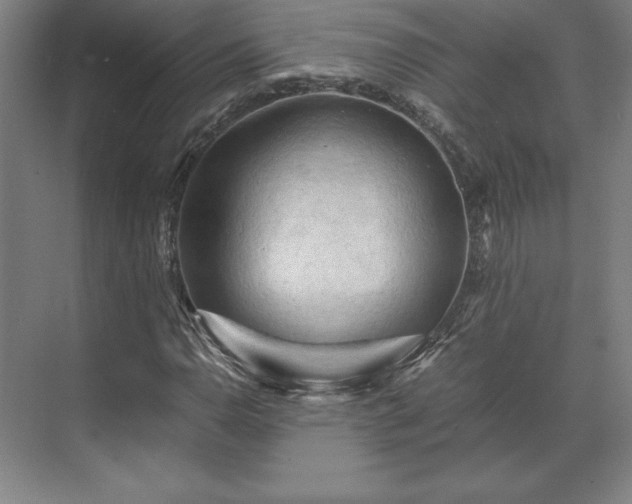 X0000071761110200607071228