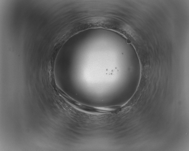 X0000071761111200607071229