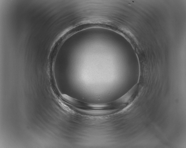 X0000071761114200607071229