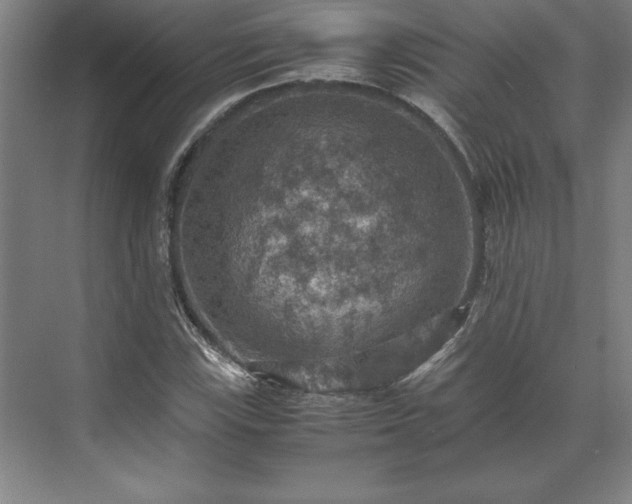 X0000071761115200607071229