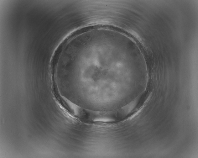 X0000071761118200607071229