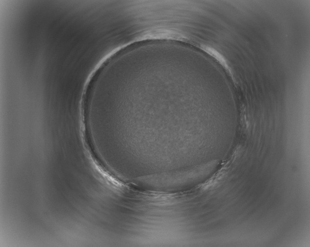 X0000071761120200607071229