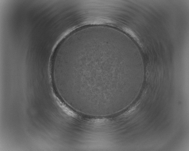 X0000071761122200607071229