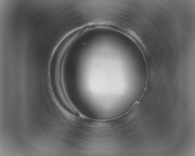 X0000071761124200607071229