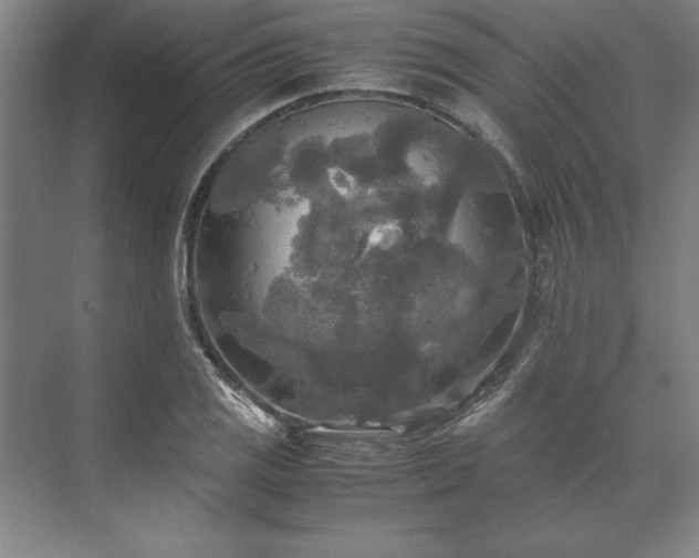 X0000071761125200607071229