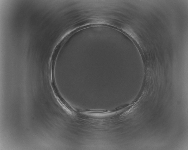 X0000071761127200607071229