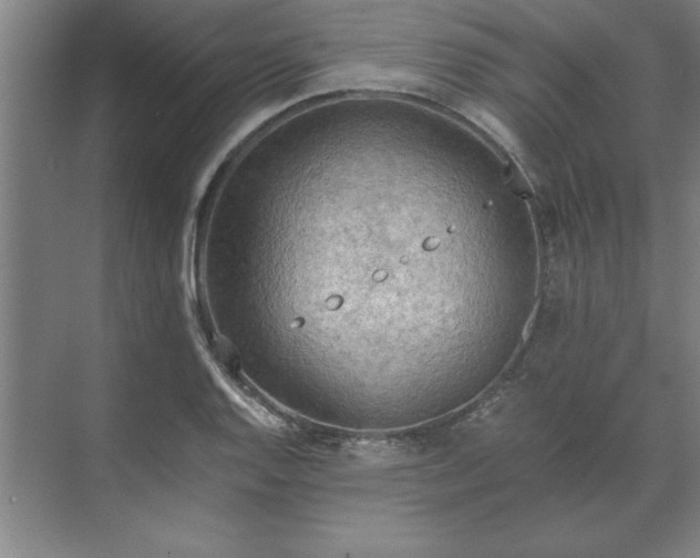 X0000071761128200607071229