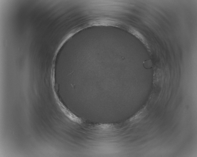 X0000071761130200607071229