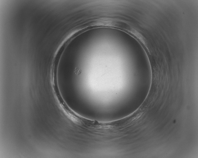 X0000071761131200607071229