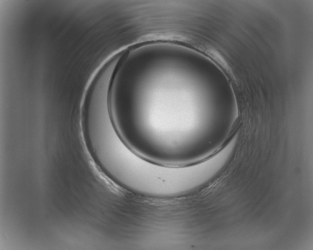 X0000071761132200607071229