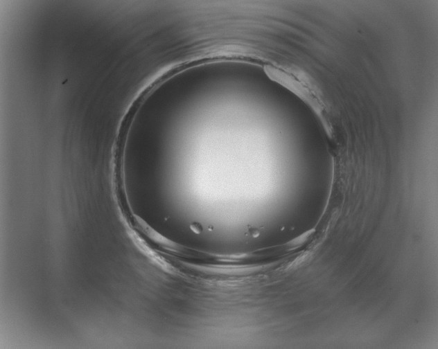 X0000071761134200607071229