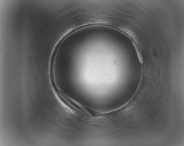 X0000071761135200607071229