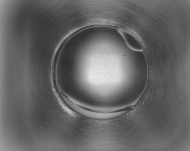 X0000071761136200607071229