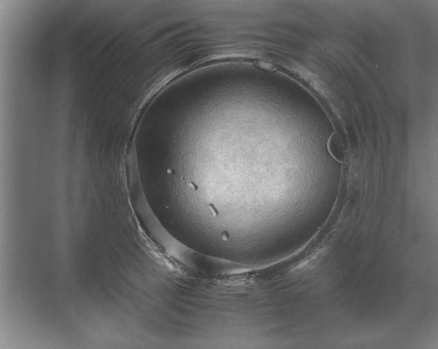 X0000071761137200607071229