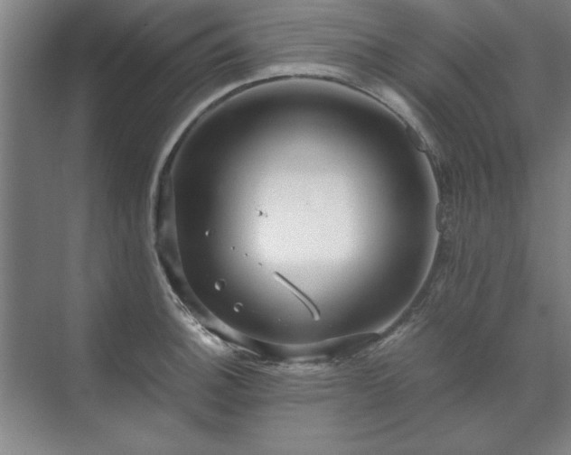 X0000071761140200607071229