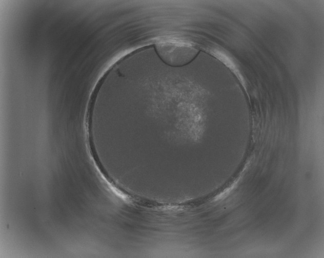 X0000071761141200607071229