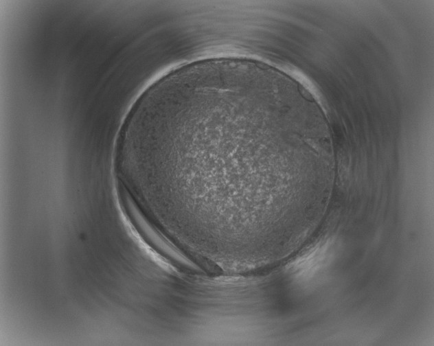 X0000071761142200607071229