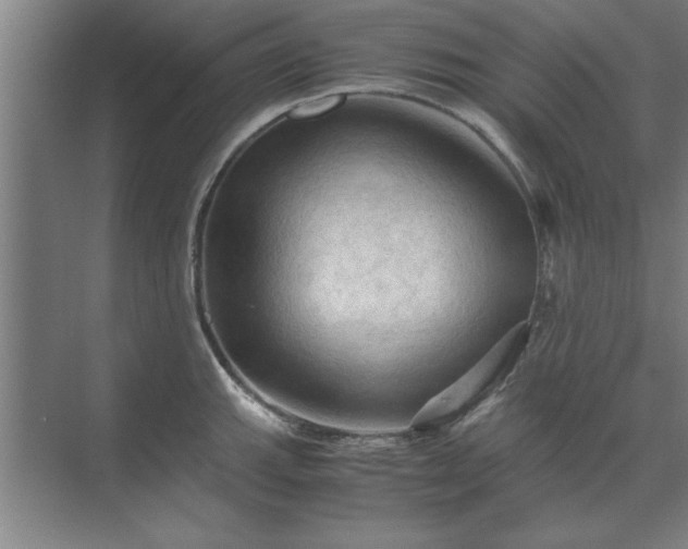 X0000071761143200607071229