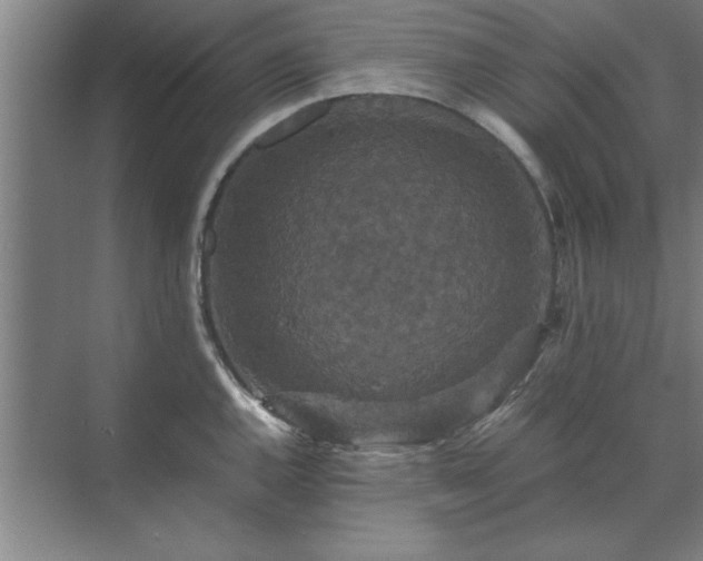 X0000071761144200607071229