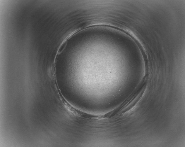 X0000071761145200607071229