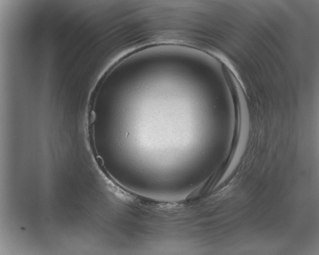 X0000071761147200607071229