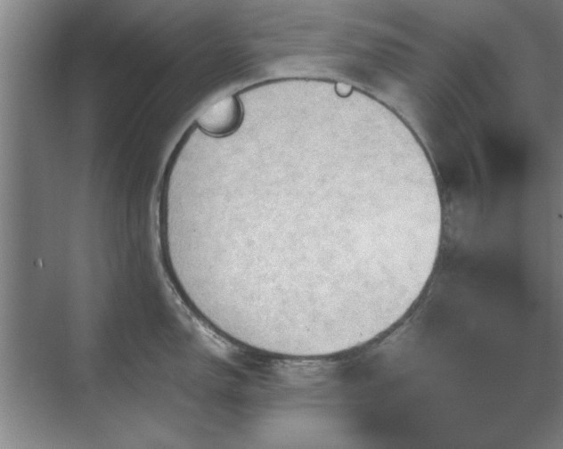 X0000071761150200607071229