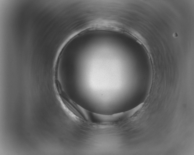 X0000071761152200607071229