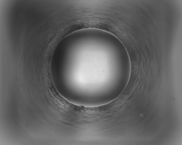 X0000071761153200607071228