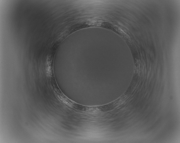 X0000071761154200607071228