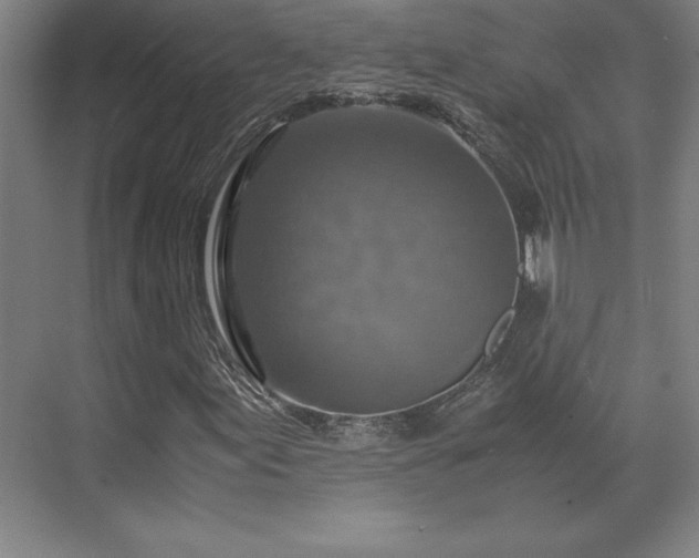 X0000071761155200607071228