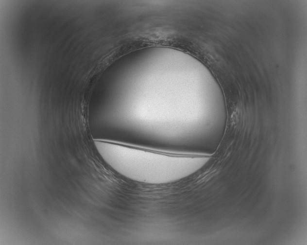 X0000071761156200607071228