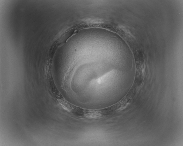 X0000071761157200607071228