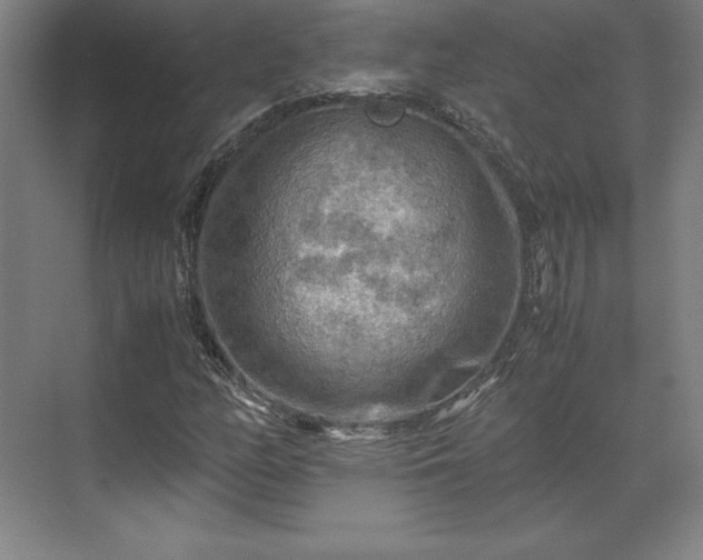 X0000071761158200607071228