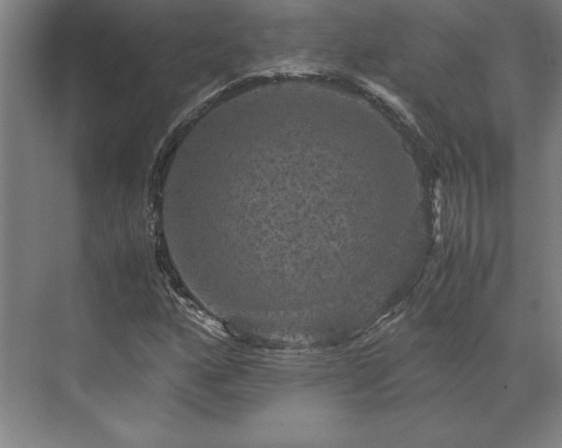 X0000071761160200607071228