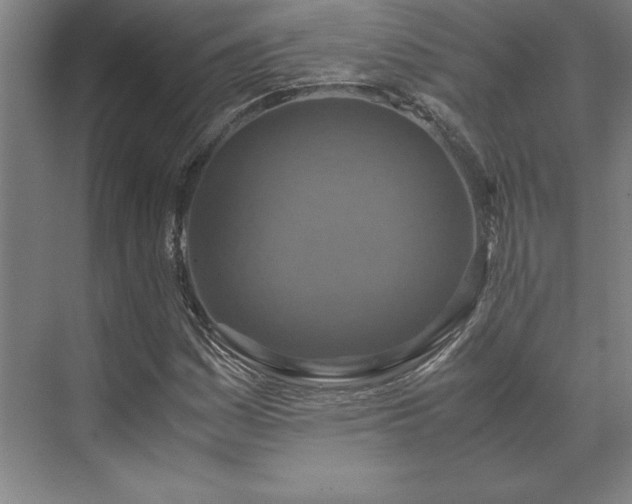 X0000071761161200607071228