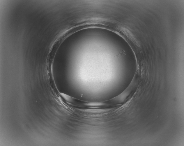 X0000071761164200607071228