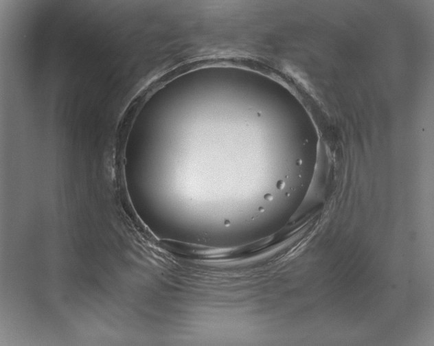 X0000071761165200607071228