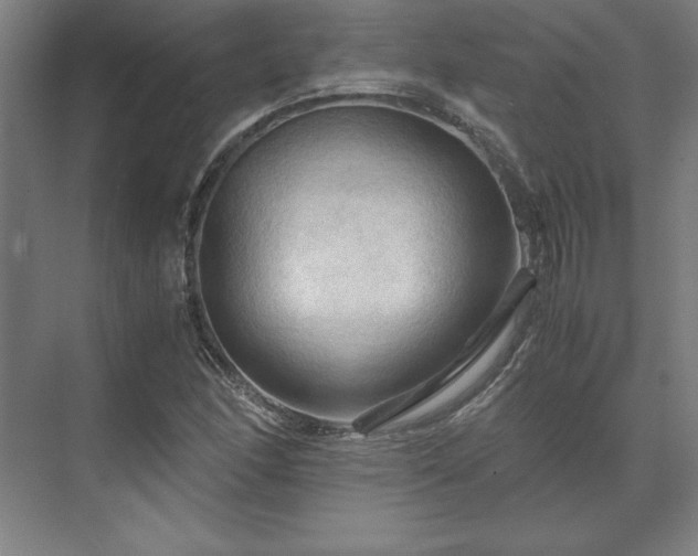 X0000071761166200607071228