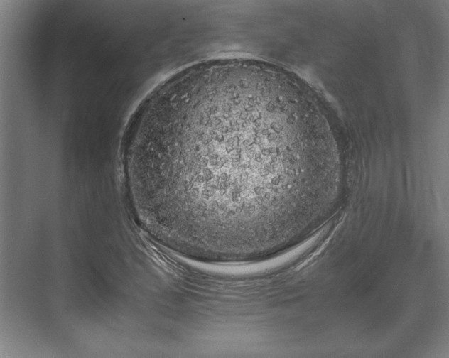 X0000071761167200607071228